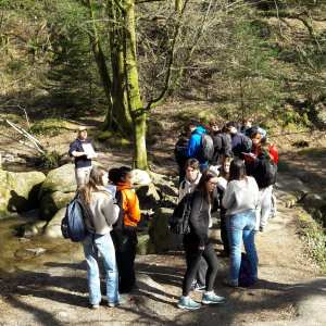 WhatsApp Image 2025-03-07 at 21.59.17